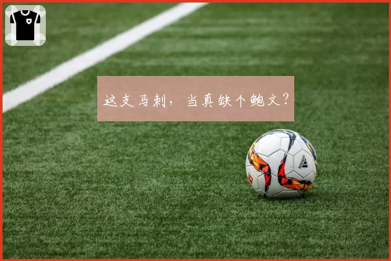 这支马刺,当真缺个鲍文?