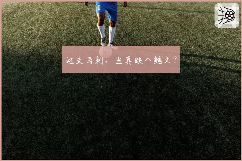 这支马刺,当真缺个鲍文?